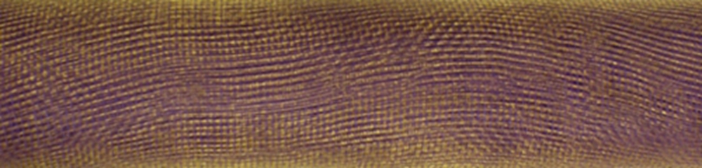Poly Deco Mesh PP Two Colors #60291